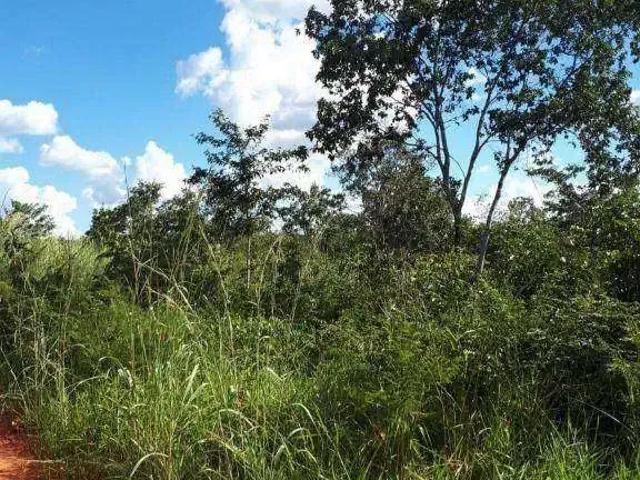 Fazenda venda em Região Geográfica Imediata de Rondonópolis, Tesouro