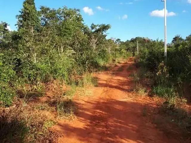 Fazenda venda em Região Geográfica Imediata de Rondonópolis, Tesouro