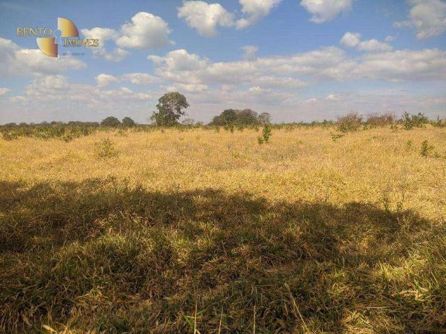 Fazenda venda em Tesouro, Região Geográfica Intermediária de Rondonópolis