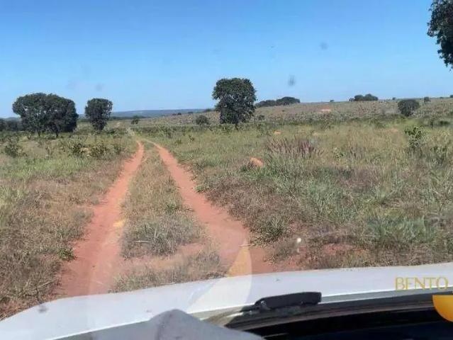 Fazenda venda em Região Geográfica Imediata de Rondonópolis, Tesouro