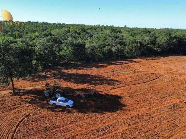 Fazenda venda em Região Geográfica Imediata de Rondonópolis, Tesouro