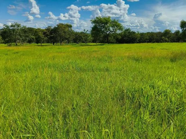 Fazenda venda em Região Geográfica Imediata de Rondonópolis, Tesouro