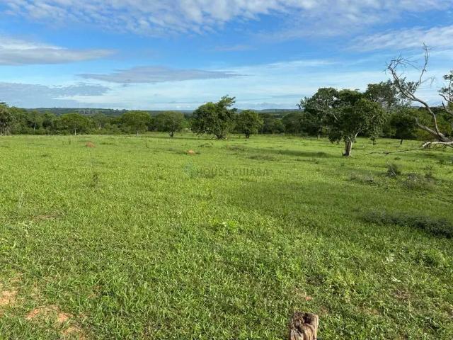 Fazenda venda em Região Geográfica Imediata de Rondonópolis, Tesouro