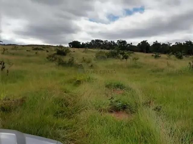 Fazenda venda em Região Geográfica Imediata de Rondonópolis, Tesouro