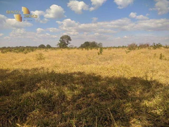 Fazenda venda em Região Geográfica Imediata de Rondonópolis, Tesouro