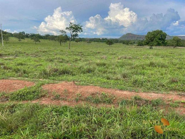 Fazenda venda em Região Geográfica Imediata de Rondonópolis, Tesouro