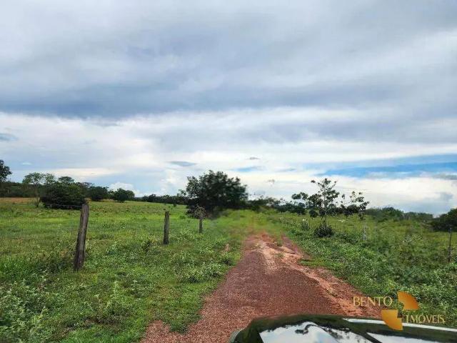 Fazenda venda em Região Geográfica Imediata de Rondonópolis, Tesouro