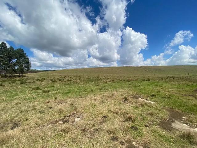 Fazenda venda em Região Geográfica Imediata de Telêmaco Borba, Tibagi