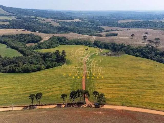 Fazenda venda em Região Geográfica Imediata de Telêmaco Borba, Tibagi