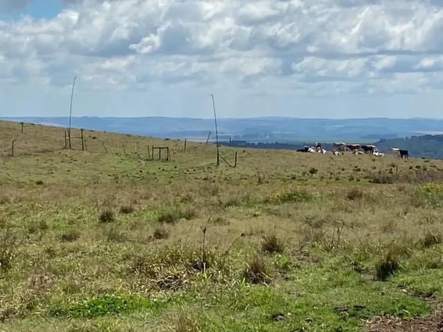 Fazenda venda em Região Geográfica Imediata de Telêmaco Borba, Tibagi