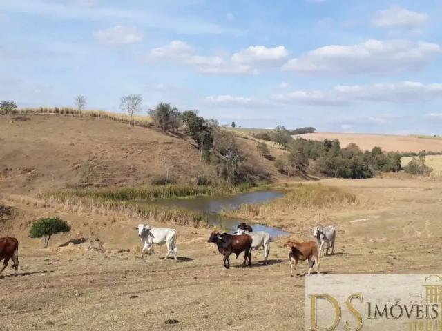 Fazenda venda em Região Imediata de Sorocaba, Região Metropolitana de Sorocaba