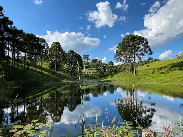 Fazenda venda em Região Geográfica Imediata de Curitiba, Região Metropolitana de Curitiba