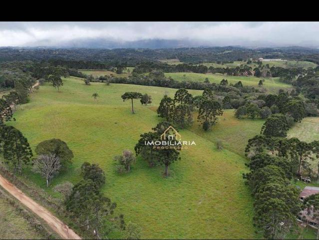 Fazenda venda em Tijucas do Sul, Região Geográfica Intermediária de Curitiba