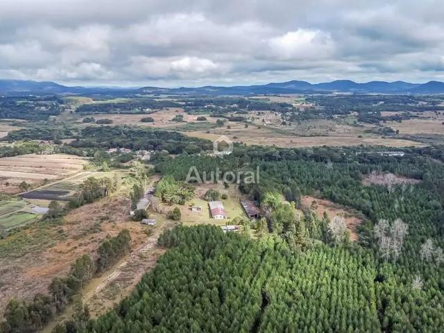 Fazenda venda em Região Geográfica Imediata de Curitiba, Região Metropolitana de Curitiba