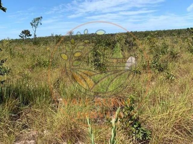 Sítio e chácara venda em Região Geográfica Imediata de Ubá, Tocantins