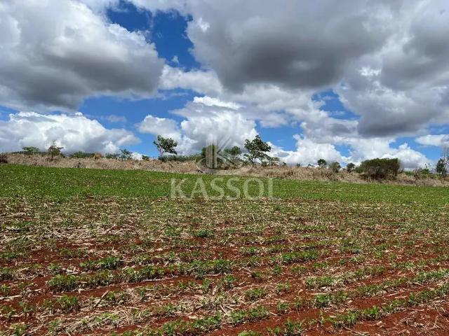 Fazenda venda em Região Geográfica Imediata de Toledo, Toledo