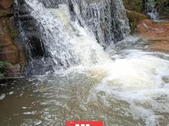 Sítio e chácara venda em Região Geográfica Imediata de Barra do Garças, Torixoreu