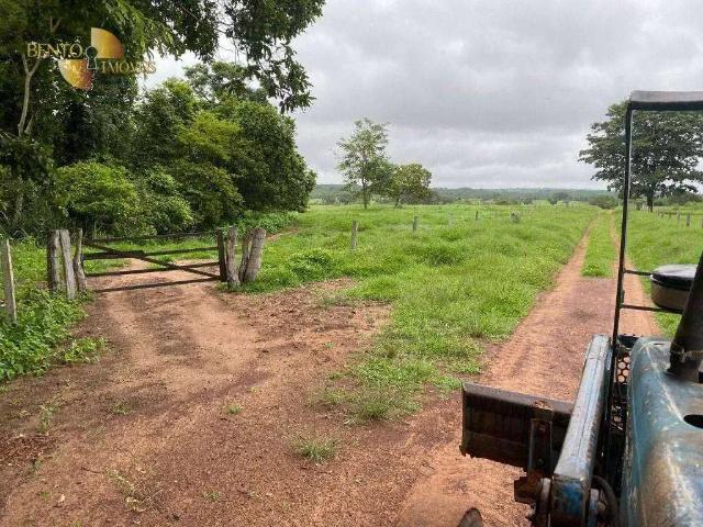 Fazenda venda em Região Geográfica Imediata de Barra do Garças, Torixoreu