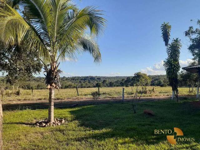 Fazenda venda em Região Geográfica Imediata de Barra do Garças, Torixoreu