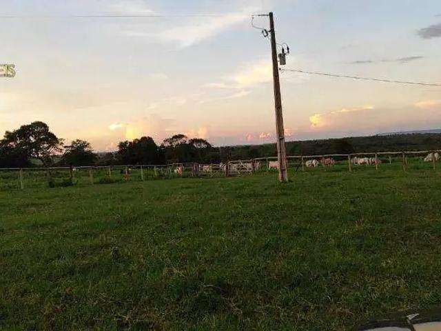 Fazenda venda em Região Geográfica Imediata de Barra do Garças, Torixoreu