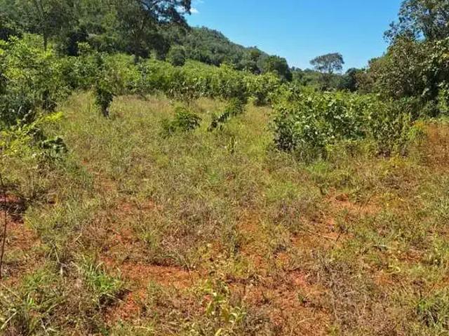 Fazenda venda em Região Geográfica Imediata de Barra do Garças, Torixoreu