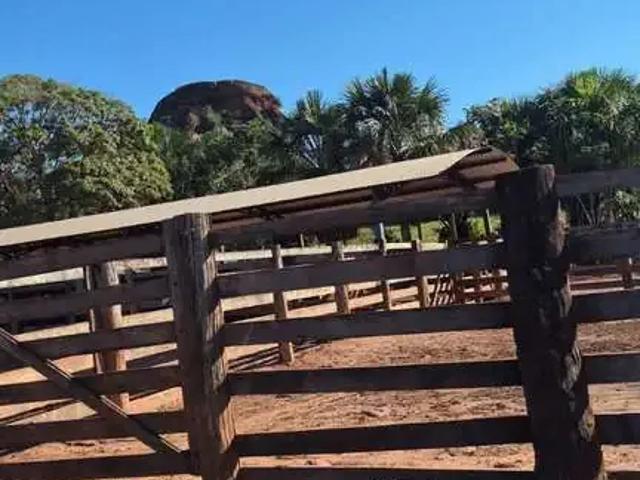 Fazenda venda em Região Geográfica Imediata de Barra do Garças, Torixoreu