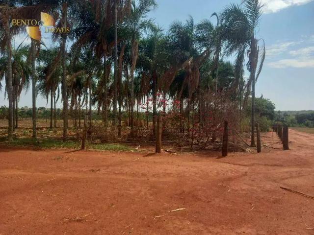 Fazenda venda em Região Geográfica Imediata de Barra do Garças, Torixoreu