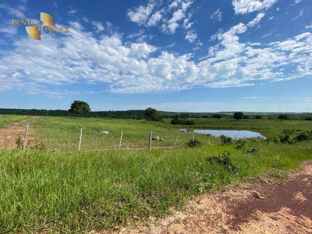 Fazenda venda em Torixoréu, Região Geográfica Intermediária de Barra do Garças