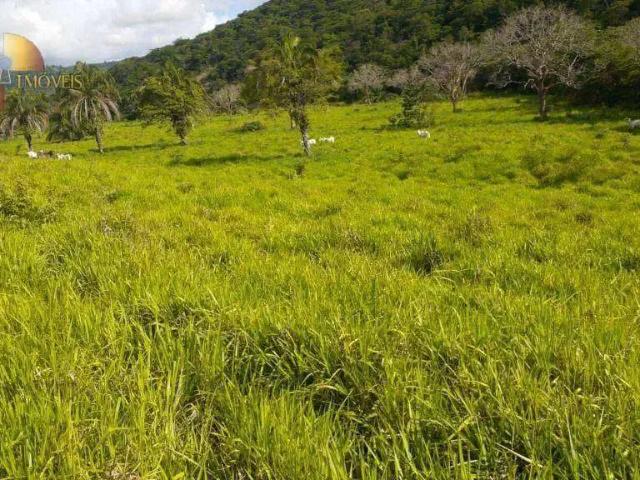 Fazenda venda em Região Geográfica Imediata de Barra do Garças, Torixoreu