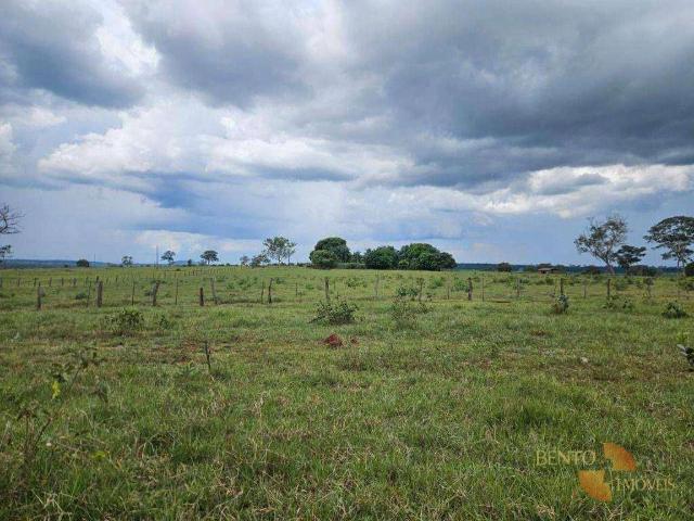 Fazenda venda em Torixoréu, Região Geográfica Intermediária de Barra do Garças