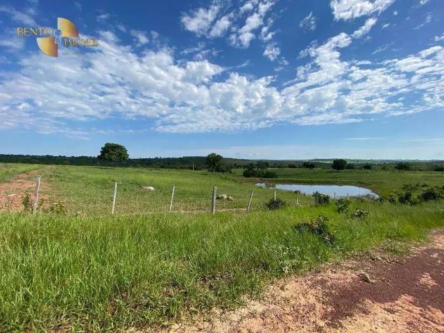 Fazenda venda em Região Geográfica Imediata de Barra do Garças, Torixoreu