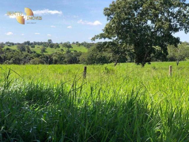 Fazenda venda em Região Geográfica Imediata de Barra do Garças, Torixoreu