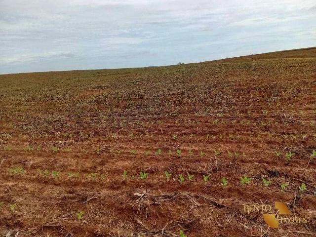 Fazenda venda em Região Geográfica Imediata de Barra do Garças, Torixoreu
