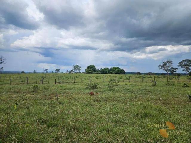 Fazenda venda em Região Geográfica Imediata de Barra do Garças, Torixoreu