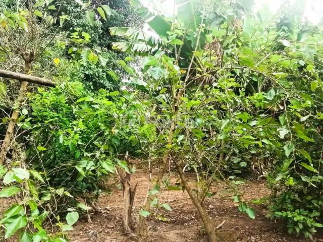 Fazenda venda em Região Geográfica Imediata de Torres, Aglomeração Urbana do Litoral Norte
