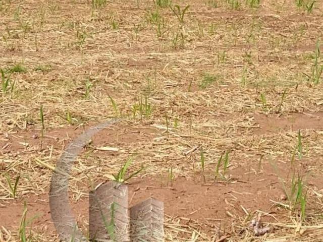 Sítio e chácara venda em Torrinha, Região Geográfica Intermediária de Bauru