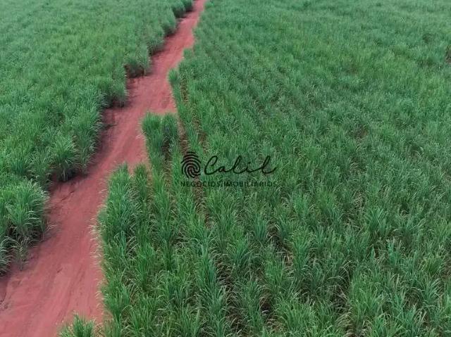Fazenda venda em Região Geográfica Imediata do Distrito Federal, Região Integrada de Desenvolvimento do Distrito Federal e Entorno