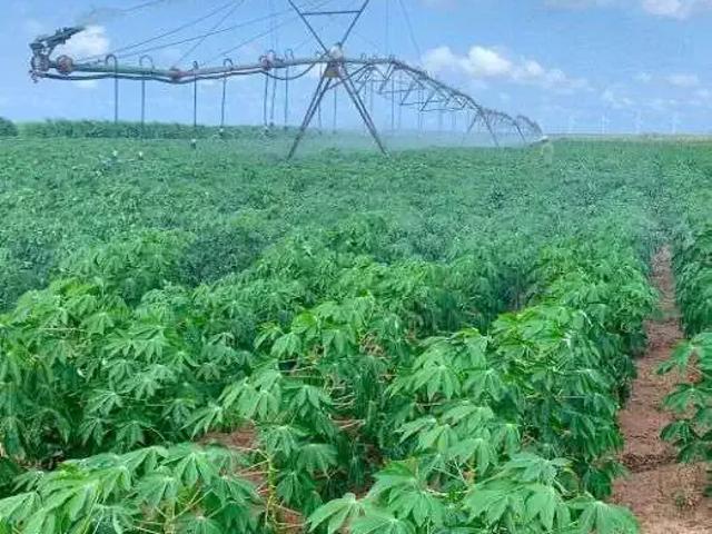 Fazenda venda em Região Geográfica Imediata de Natal, São Gonçalo do Amarante