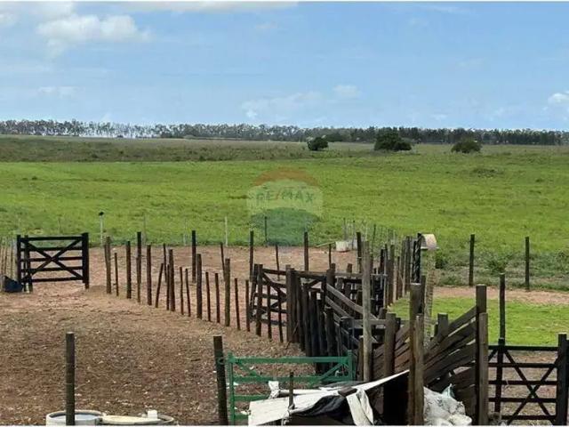 Fazenda venda em Região Geográfica Imediata de Natal, Touros