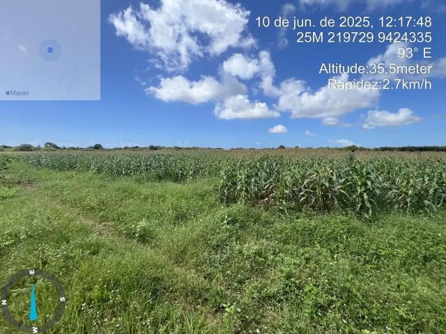 Fazenda venda em Região Geográfica Imediata de Natal, Touros