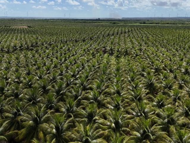 Fazenda venda em Região Geográfica Imediata de Natal, Touros