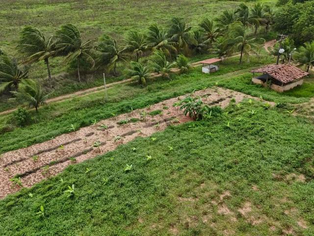 Fazenda venda em Região Geográfica Imediata de Natal, Touros