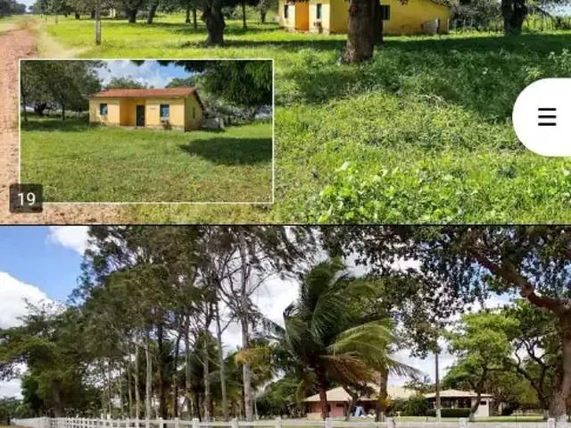 Fazenda venda em Região Geográfica Imediata de Itapipoca, Trairi
