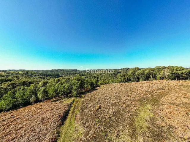 Fazenda venda em Região Geográfica Imediata de Taquara - Parobé - Igrejinha, Três Coroas
