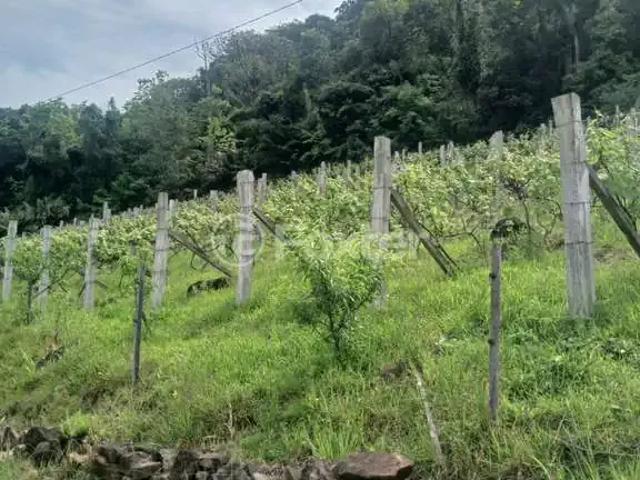 Fazenda venda em Região Geográfica Imediata de Taquara - Parobé - Igrejinha, Três Coroas