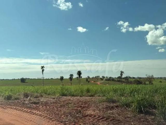 Fazenda venda em Região Imediata de Santa Fé do Sul, Três Fronteiras