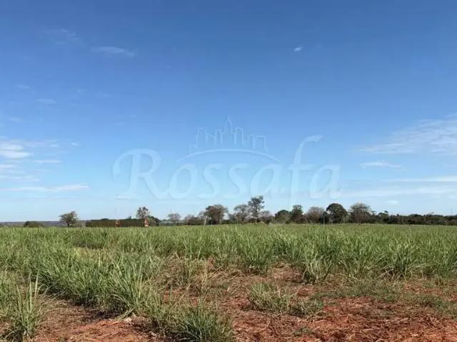 Fazenda venda em Região Imediata de Santa Fé do Sul, Três Fronteiras