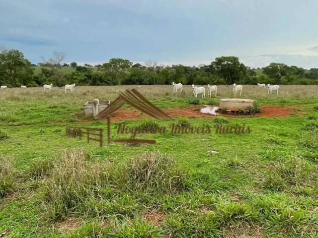 Fazenda venda em Região Geográfica Imediata de Três Lagoas, Angélica