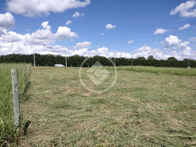 Fazenda venda em Região Geográfica Imediata de Goiânia, Trindade