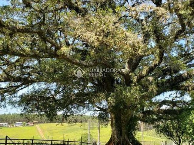 Fazenda venda em Região Geográfica Imediata de Porto Alegre, Região Metropolitana de Porto Alegre